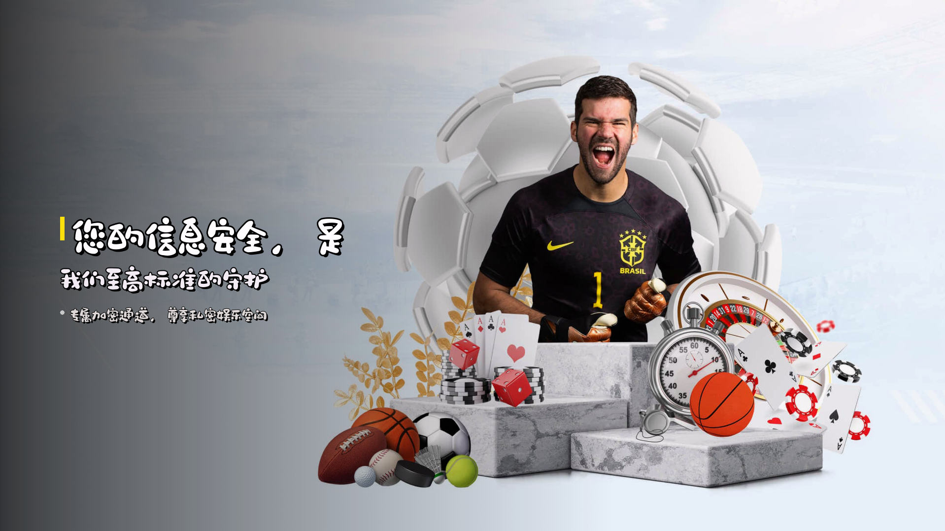 您的信息安全，是我们<strong>至高标准</strong>的守护